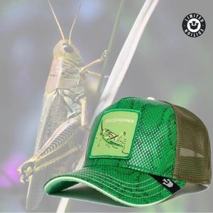 Goorin Bros - “Grasshopper” Limited Circulation